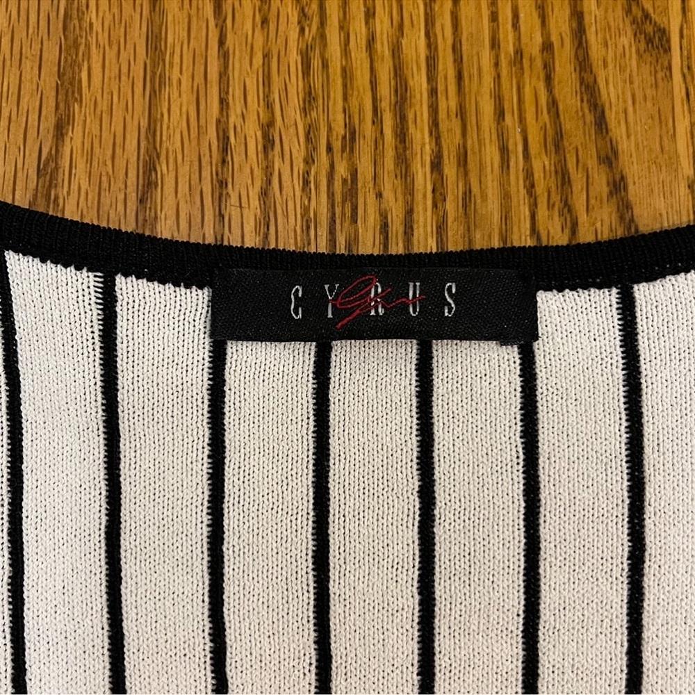 Cyrus Black and White Vertical Stripe Sweater - Picture 4 of 11